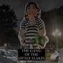 The Gang of Little Flakes (Explicit)