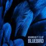 Bluebird (feat. ELLIP)