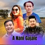 A nani Gajale (Acoustic Version)