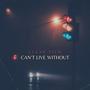 Can't Live Without