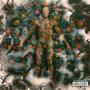 Compliquè (Explicit)