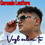 Vogl sul a te