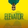 Elevator (feat. Min. Reggie, Pistis & Gyidi)
