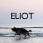 Eliot