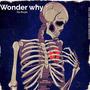 Wonder Why (Explicit)