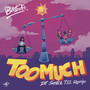 Too Much (DJ Smallz 732 Remix) [Explicit]