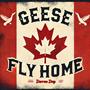 Geese Fly Home