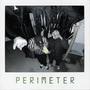 PERIMETER (feat. RCK) [Explicit]
