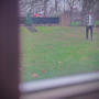 Daydreamer