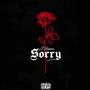 Sorry (feat. Trell Money) [Explicit]