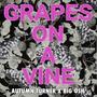 Grapes on a Vine