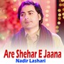 Are Shehar E Jaana (1)