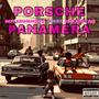 Porshe Panamera (Explicit)