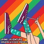 Aventure (Grizzly Cogs Remix)