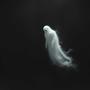 Apparitions