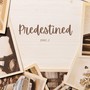 Predestined