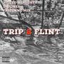 Trip 2 Flint (feat. D. Jones & FastLane Mir) [Explicit]