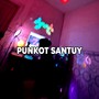 Punkot Santuy