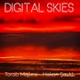 DIGITAL SKIES