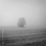 The Endless Dream