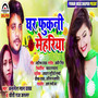 Ghar Phukani Mehariya - Single