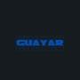 Guayar (feat. Loyalgotty & ynbsasori) [Explicit]