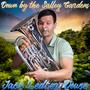 Down by the Salley Gardens (Db Version)