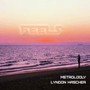 Feels (feat. Lyndon Hascher)