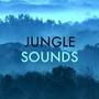 Jungle Sounds: Tropical Rainforest and Water Sounds to Relax and Sleep