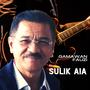 Sulik aia