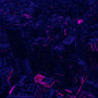 Dark Moonlight