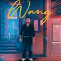 Wang (Explicit)