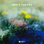 Meets The Eye