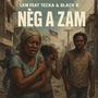 Nèg a zam (feat. Tecka & Black b) [Special Version]