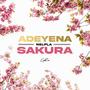 ✿Adeyena&Sakura❀ (Explicit)