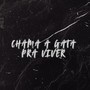 Chama A Gata Pra Viver (Explicit)