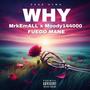 Why (Explicit)