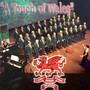 A Touch of Wales