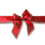 Satin Ribbon