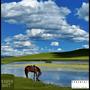 HORSES DONT STOP (Explicit)