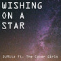 Wishing on a Star