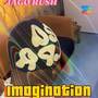 Imagination