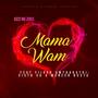 Mama Wam (feat. Fiireh Umthakathi, Visto SA & Meneer Busta)