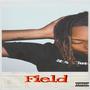 Field (Explicit)