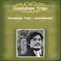 Guadalupe Trigo - Instrumental