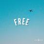 Free (Explicit)