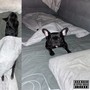 44 (Explicit)