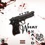 What Was Said?!?! (Explicit)