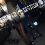 ESCAPED SECTION 8 (Explicit)