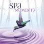 Spa Moments – Wellness Music Spa, Pure Mind and Body with Healing Massage Music, Harmony of Senses, Therapy Music for Relax, Inner Peace